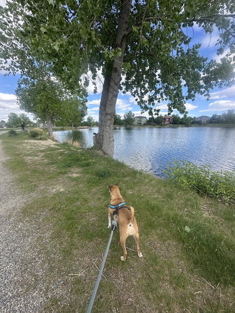 3F49375D-EE2C-45DD-9326-43932C292ADA_1_105_c