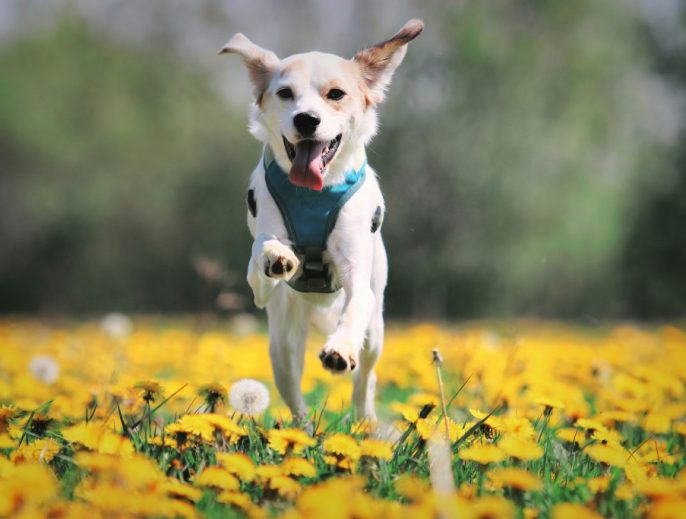 rafaella-waasdorp-QSw4363IKU4-unsplash