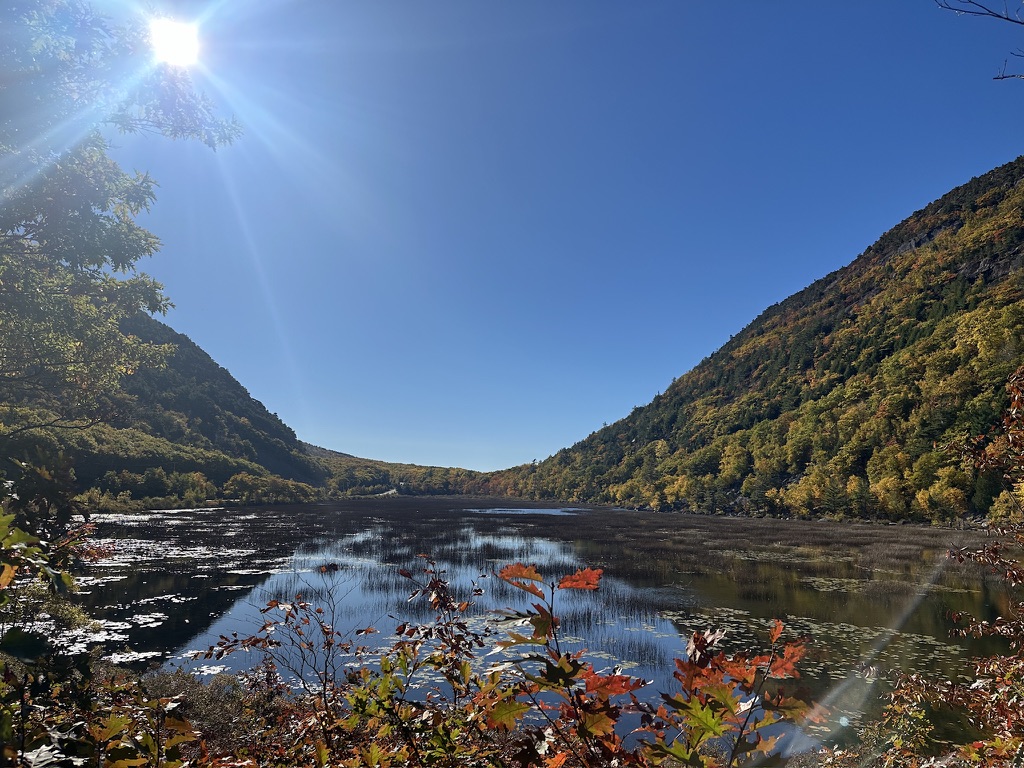 8AB28FE9-7BFC-434A-B00C-29DDF1E650E2_1_105_c