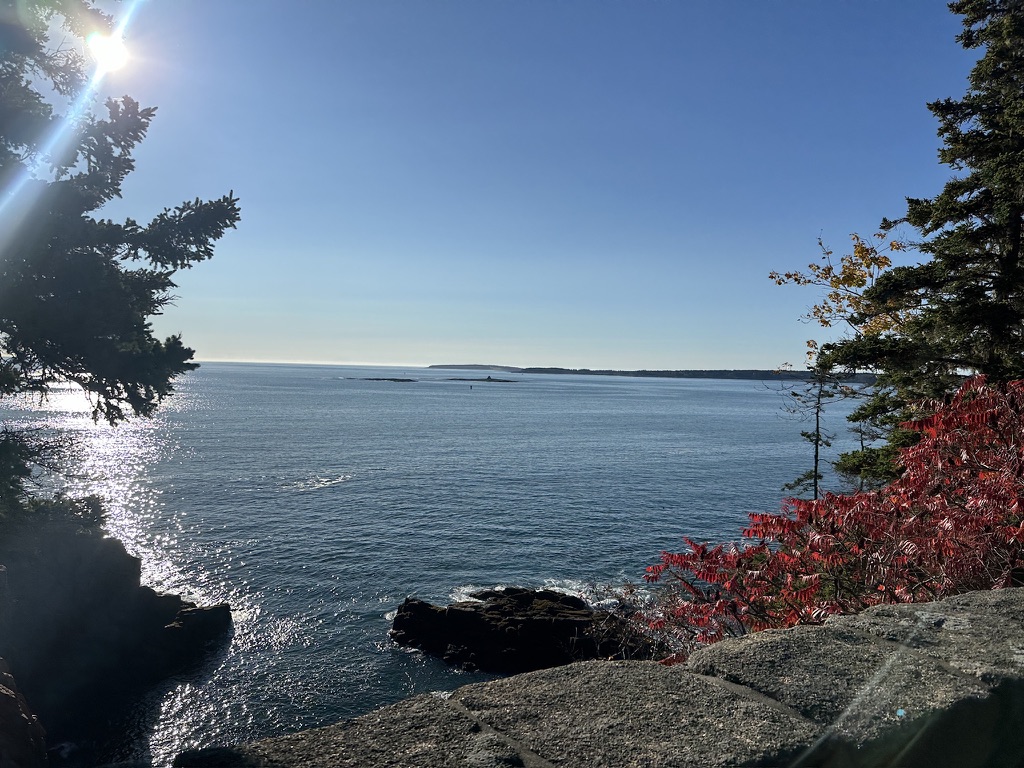 Running along the MDI coastline — the views made every mile worth it