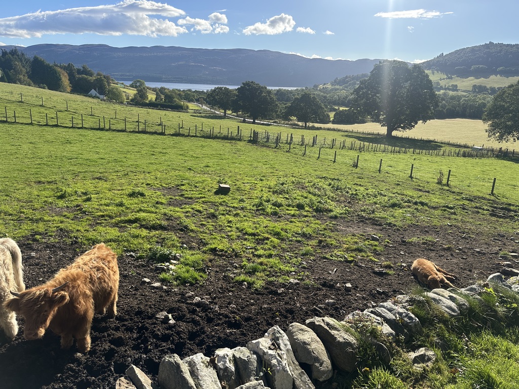 5E87D924-4DC3-4E2F-B9E9-359F7F65F0B2_1_105_c