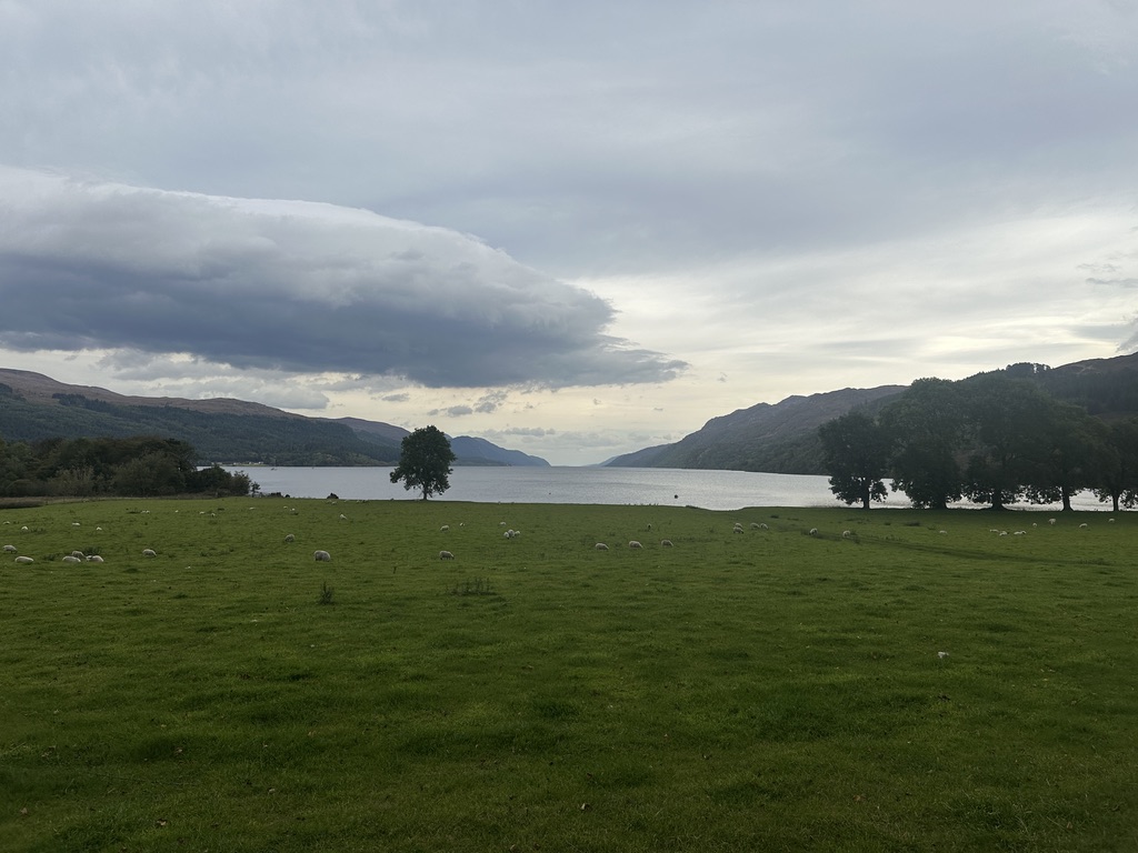 628C1EC0-3859-438B-A46B-9BE1FCD37BDD_1_105_c